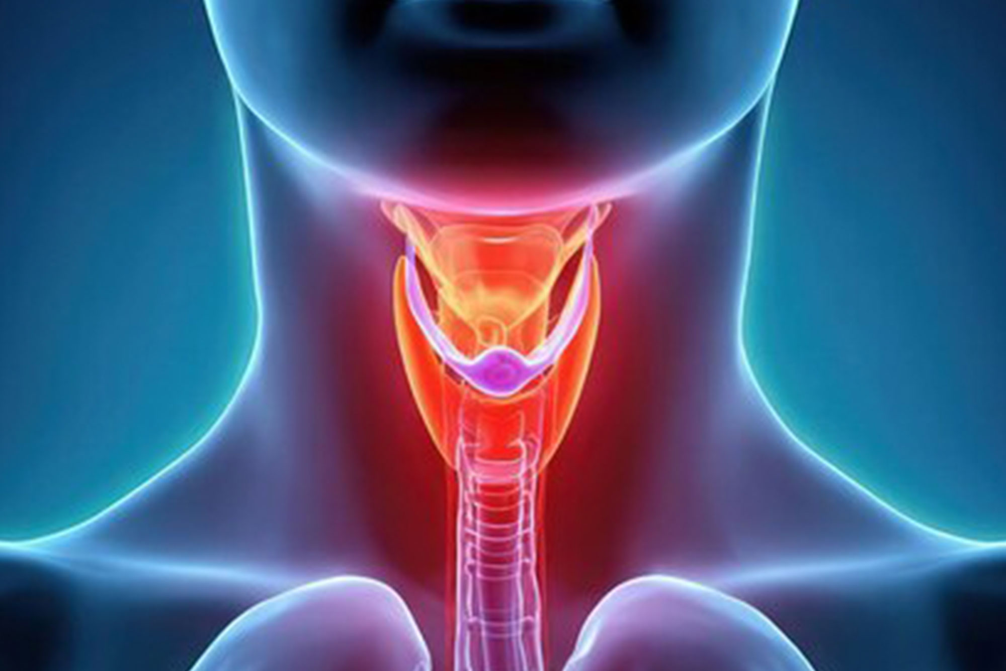 Thyroid disorders Service