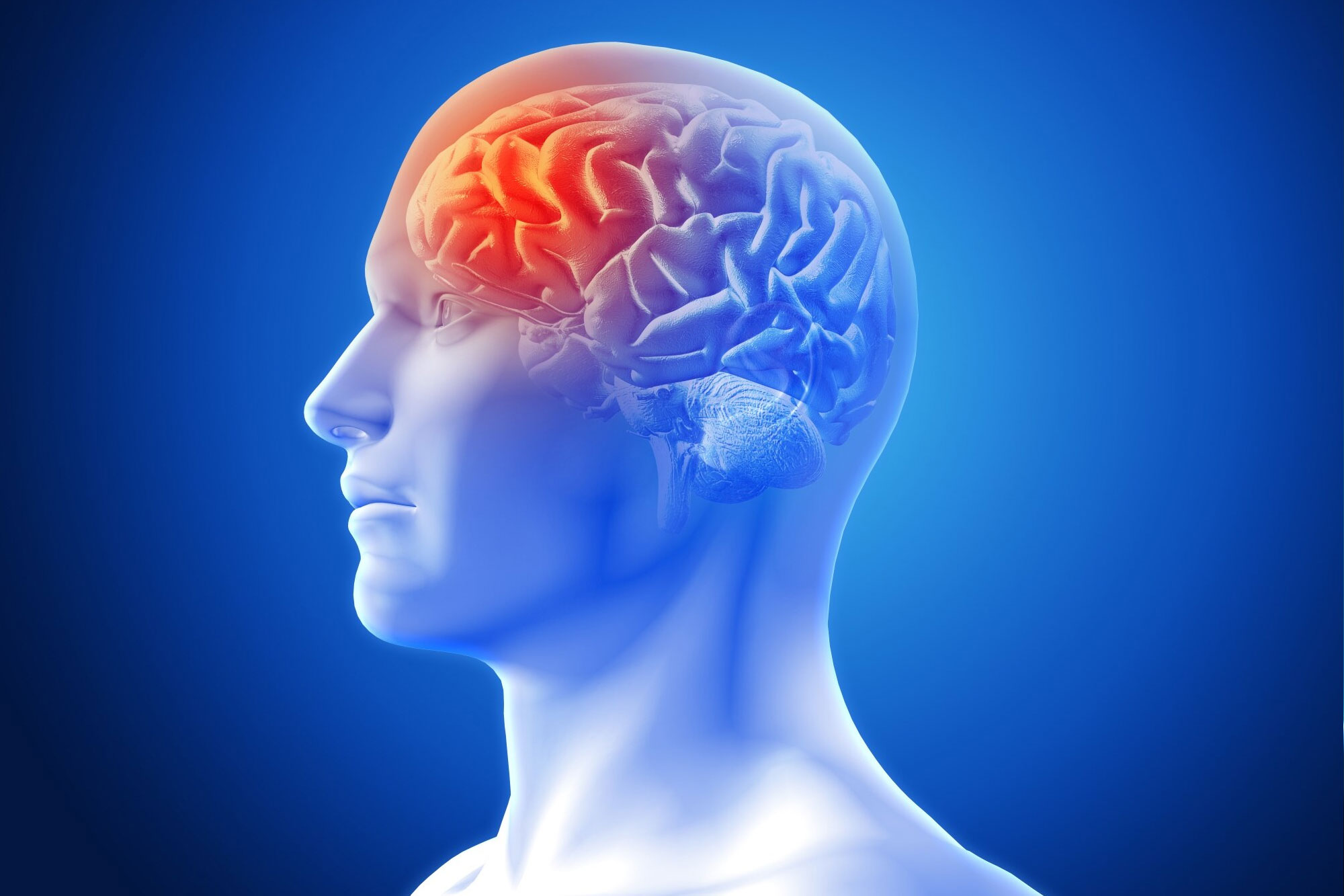 Pituitary Service