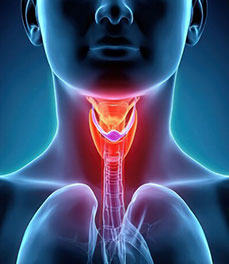 Thyroid disorders Service