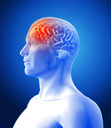 Pituitary Service